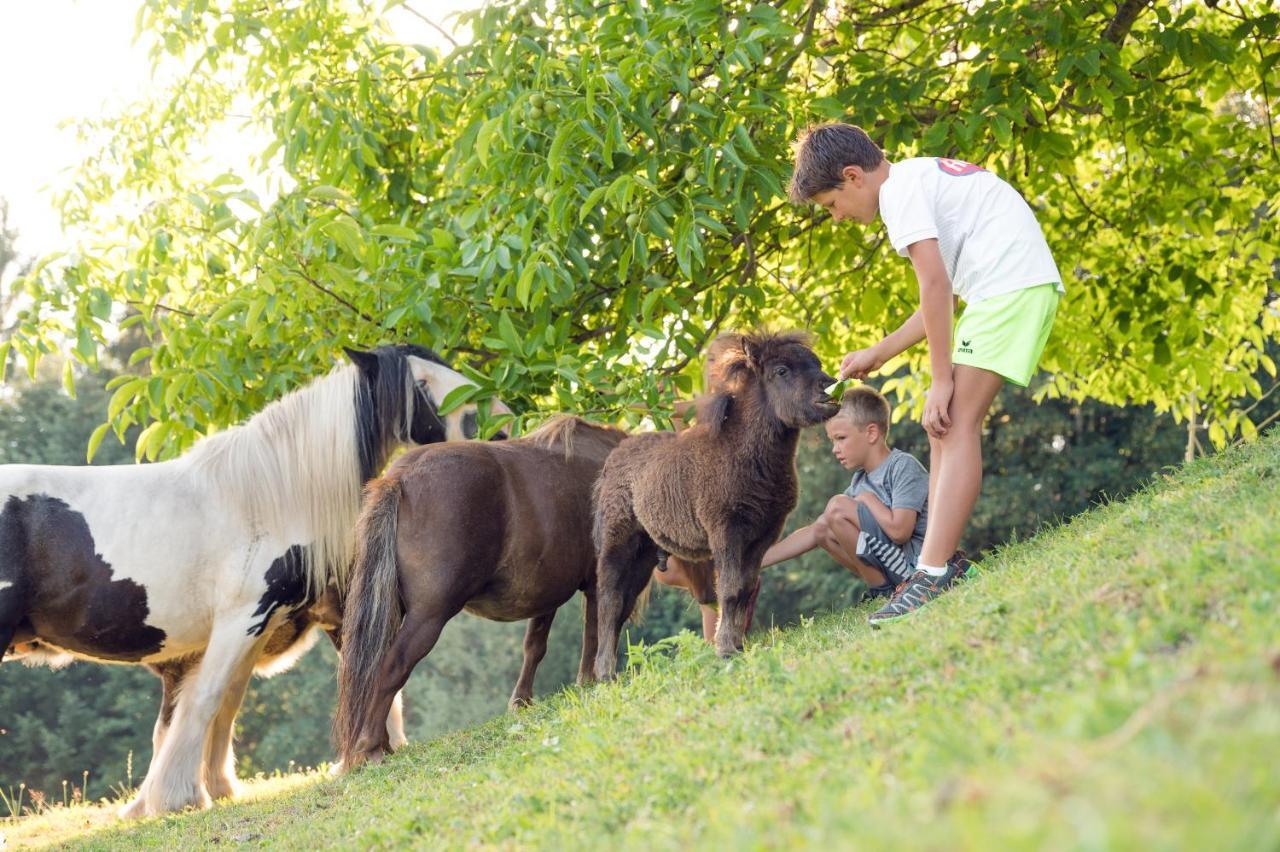 بفارويرفين Familienbauernhof Samerhof المظهر الخارجي الصورة